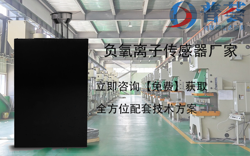 負(fù)氧離子傳感器廠(chǎng)家哪家好